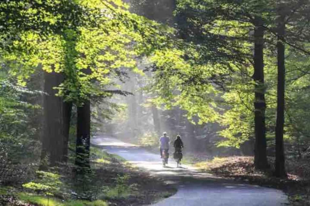Chalet Toetje Op De Veluwe Hoenderloo Luaran gambar