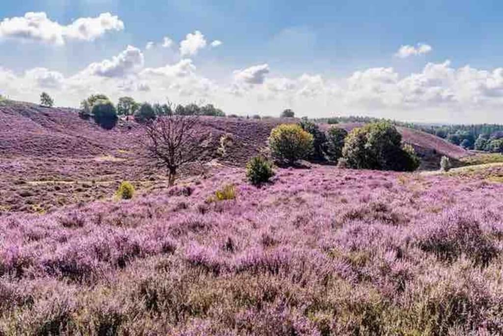 Chalet Toetje Op De Veluwe Hoenderloo Luaran gambar